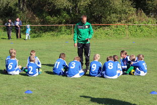 开云体育足球-德甲球队构建战术模拟平台提升临场应变能力，德甲模式