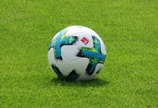 开云体育网址-德甲防守战术转变对定位球防守效果的影响分析，德国足球防守大师